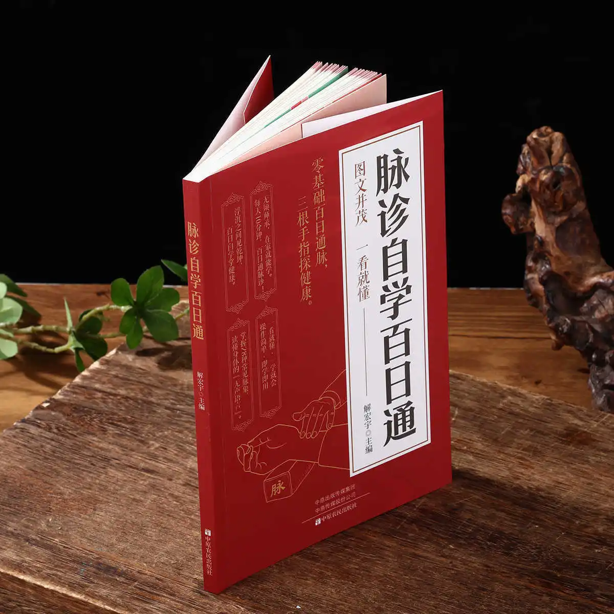 Pulse Diagnosis Self Study Hundred Day Pass, Introduction To Traditional Chinese Medicine Self Study Health Book