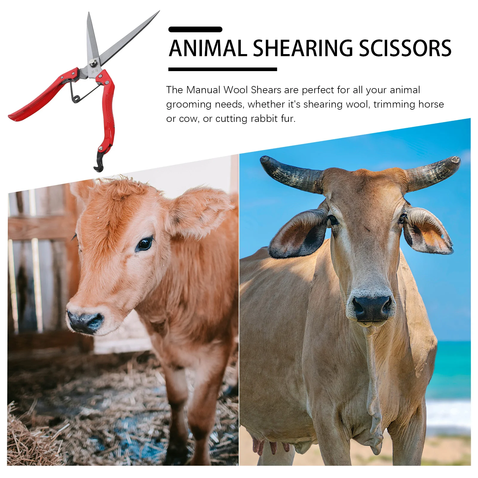 

Manual Sheep Shears Carbon Steel Ergonomic Handle Large Size Farm Animal Grooming Tool for Wool Cutting Horse Cow Rabbit