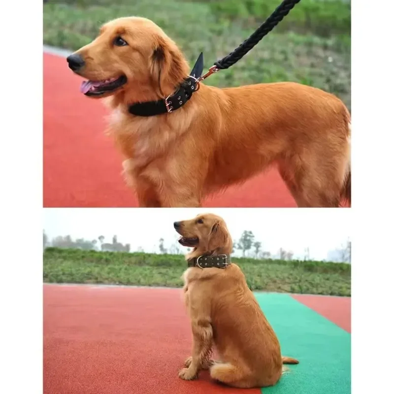 طوق كلب صلب من النايلون للجنسين للكلاب الصغيرة والمتوسطة والكبيرة - تيدي كيجي بيتبول بولدوج بيغل - وصول مريح للحيوانات الأليفة قابل للتعديل