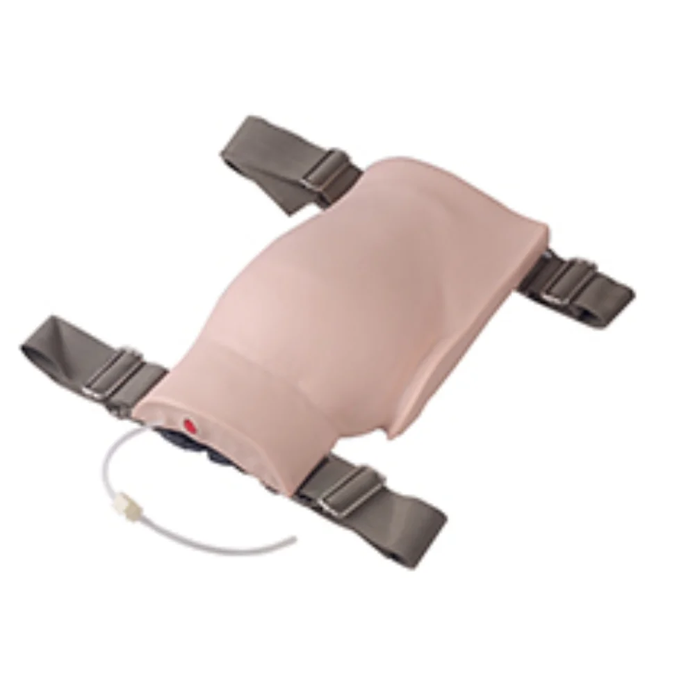 

Buttocks Injection Training Mannequin Wearable Buttocks