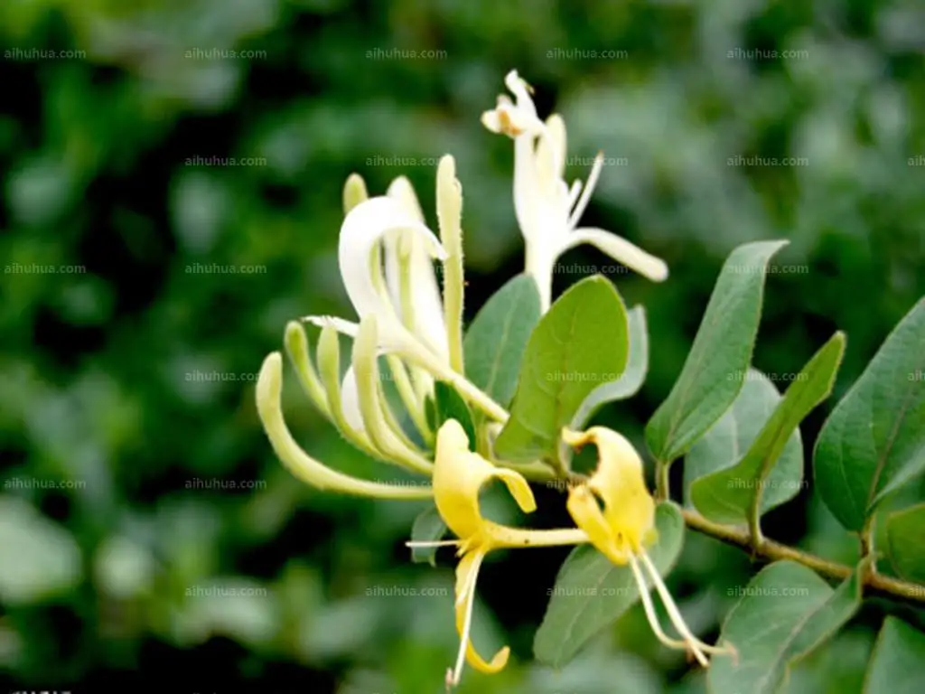 

Двухканальный звуковой симулятор для радиоуправляемых машин, 10 звуковых эффектов, динамики, имитация звука двигателя для радиоуправляемых краулеров 1/10 Axial SCX10 TRX4 D90