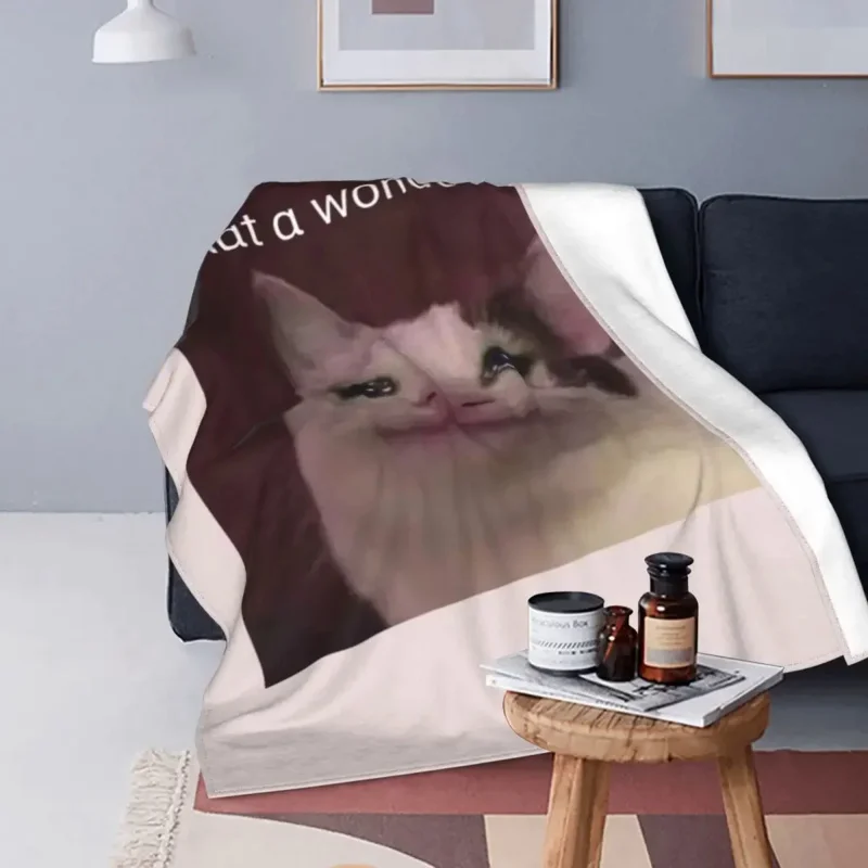 Crying Cat Memes What A Wonderfull Day Wool Awesome Throw Blanket for Home Plush Thin Quilt