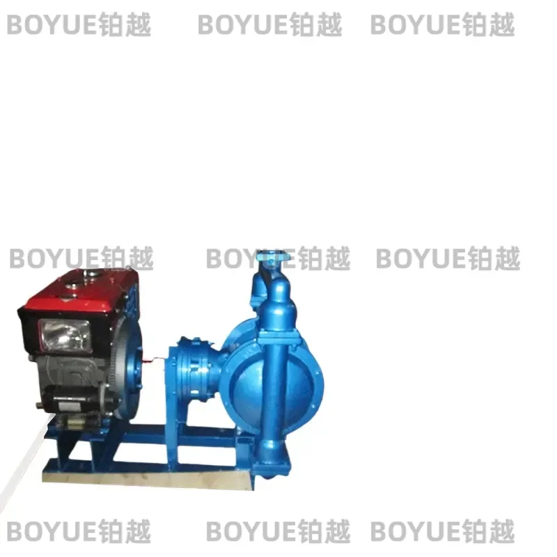 Stainless Steel Diaphragm Pump High Pressure Chemical Liquid Booster Horizontal Self Priming Industrial Rotor Pump for Fluid