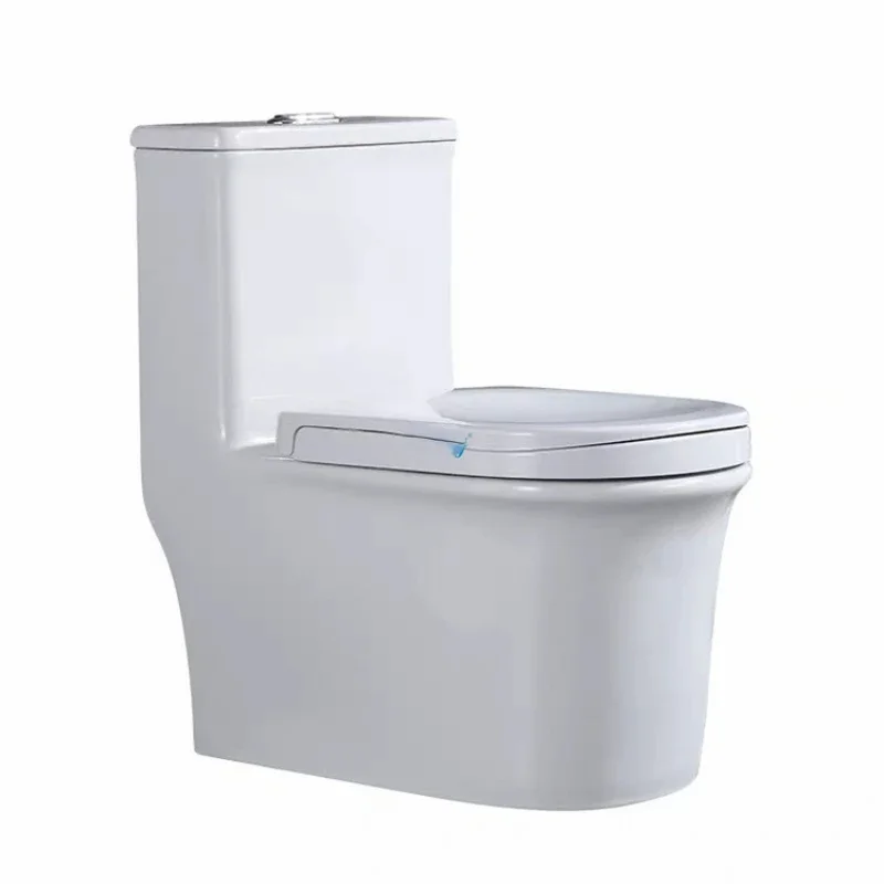 

2021 New Custom One-piece Squat And Sit Dual Purpose Professional Europe Ceramic Siphon Jet Flushing Automatic Smart Toilet Bowl