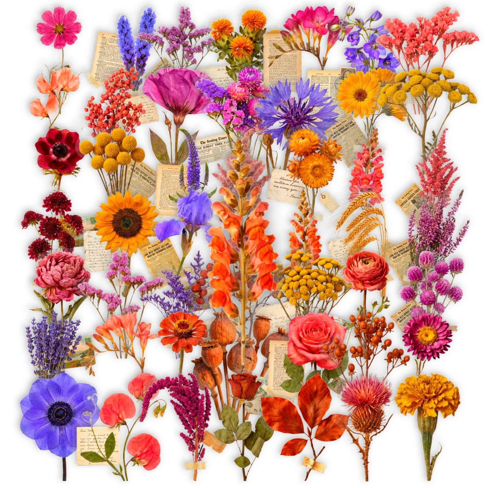 50 Pcs Vintage Floral Transparent PET Stickers Artistic Plant Love Letter Waterproof Decals for Journal Laptop Gift