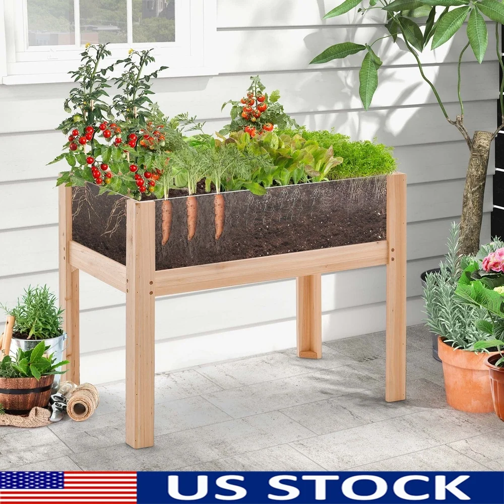

Elevated Wooden Garden Bed 24 Inch Planter Box with Drain Holes Transparent Acrylic Sides Indoor Outdoor Use