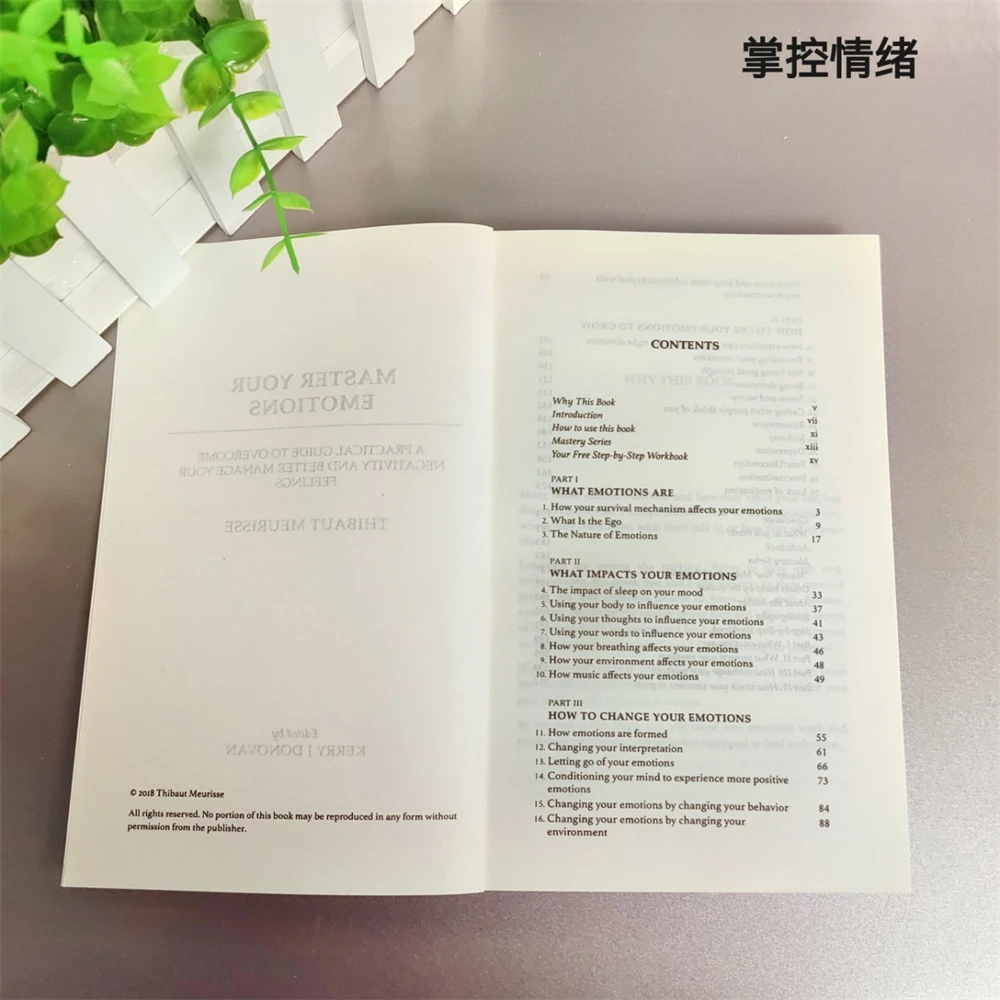 الإنجليزية الحديثة الإدارة العاطفية دليل الكتاب المادي إتقان عواطفك: دليل عملي لإتقان عواطفك #4