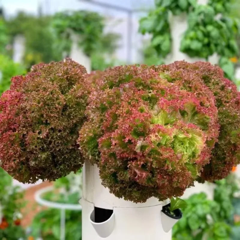 2022 NEW Style Indoor 8 Layer Vertical Hydroponic Tower Strawberry Home Garden Plastic Planters Strawberry Tower