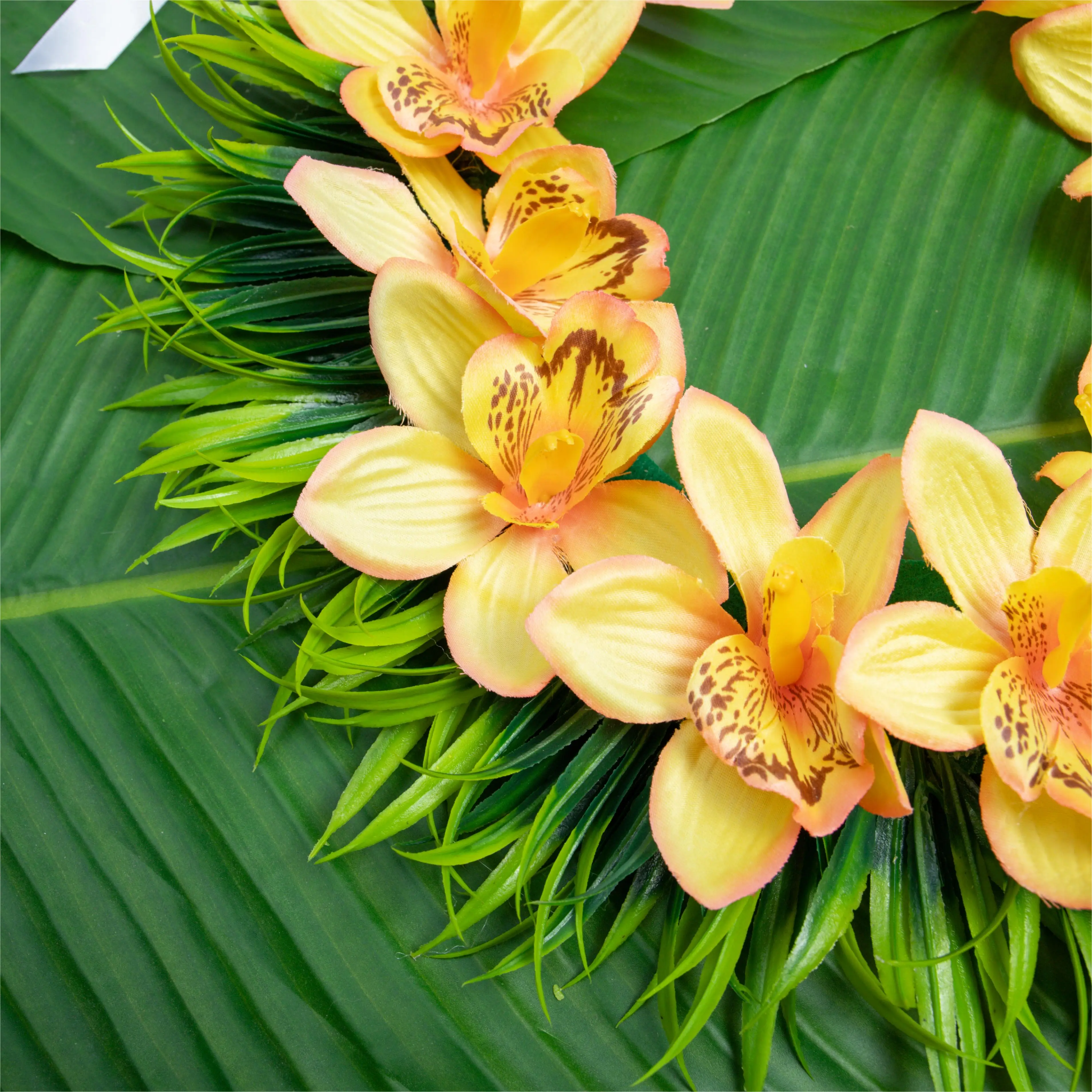 Nova tonga orquídea primavera grama comprimento ajustável lei festival celebração colar 2026 graduação pergaminho grinalda artesanal