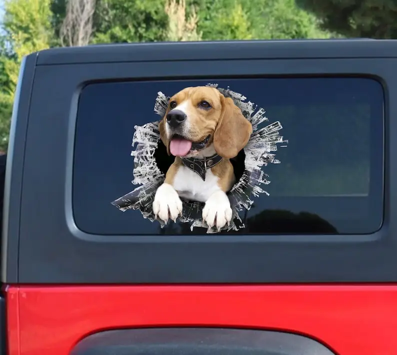 Beagle window sticker, car sticker, Beagle car decal