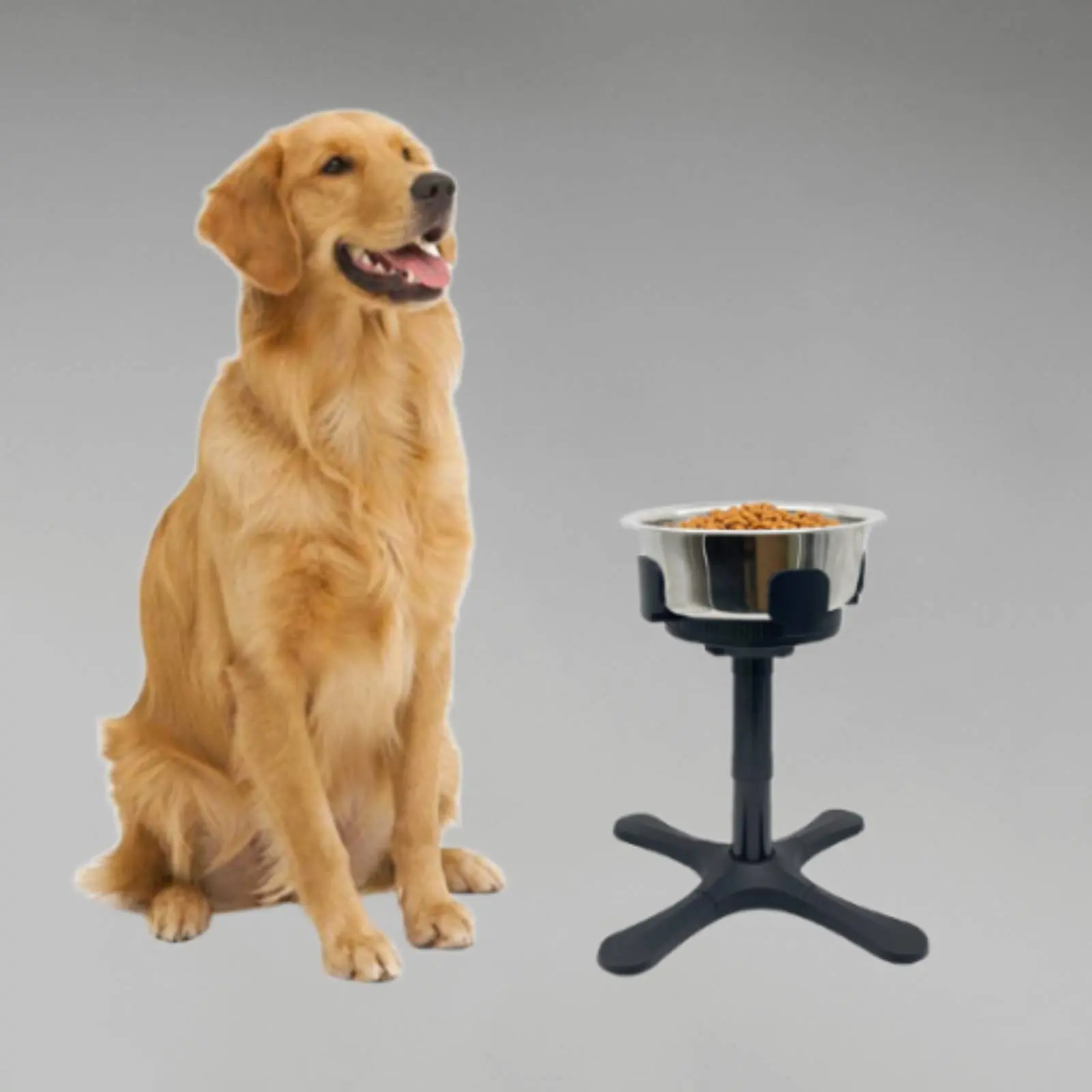 Tilting Raised Dog Bowl Stand Anti-Tip Height Adjustable Pet Feeding Station for Large Dogs