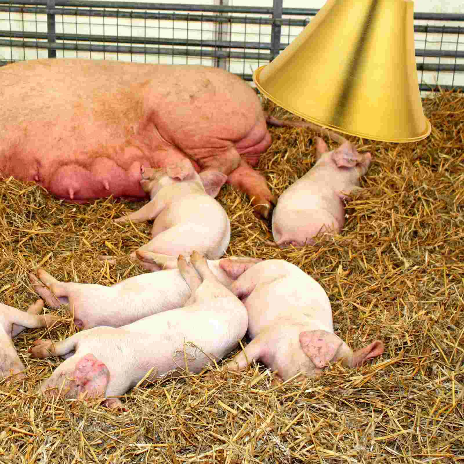 

Heat Lamps Shade For Bathrooms Deep Reptile Lamp Insulation Lampshade Heat Lamp Shade Reflector For Reptile Tanks Heat Lamp For