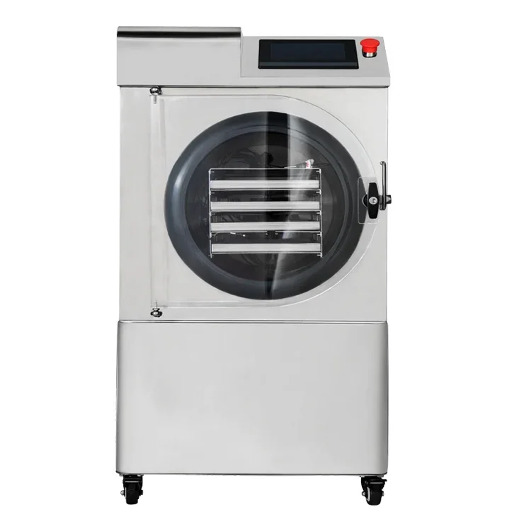 SURRI Small 6kg 10kg commercial Yogurt fruit vegetable Frozen Dryer Vacuum Free ze Dryer machine for milk powder