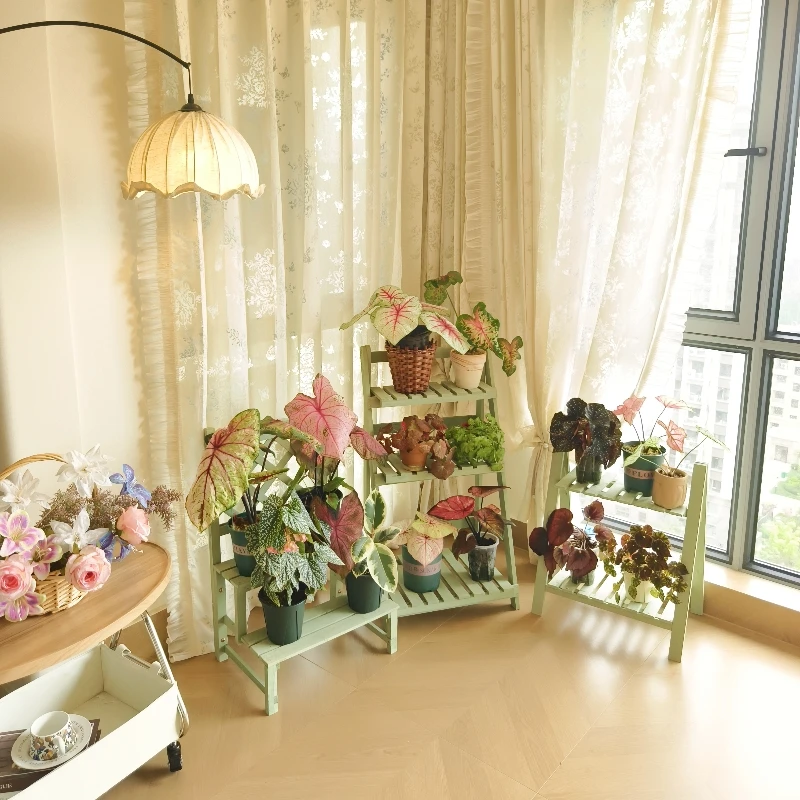 Solid wood shelf bay window succulent floor-to-ceiling flower stand flower pot placement rack
