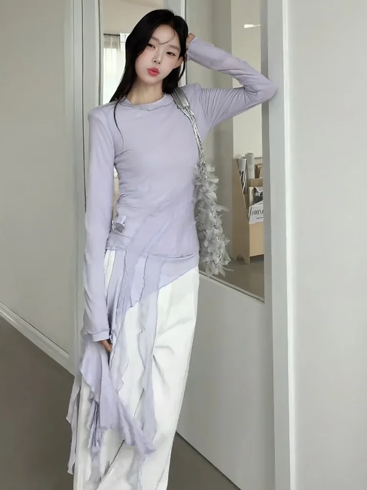 

Весенняя новинка: Женский фиолетовый сетчатый вязаный топ с вырезами и длинными рукавами, с боковым разрезом, комплект из двух предметов, модный и стильный.