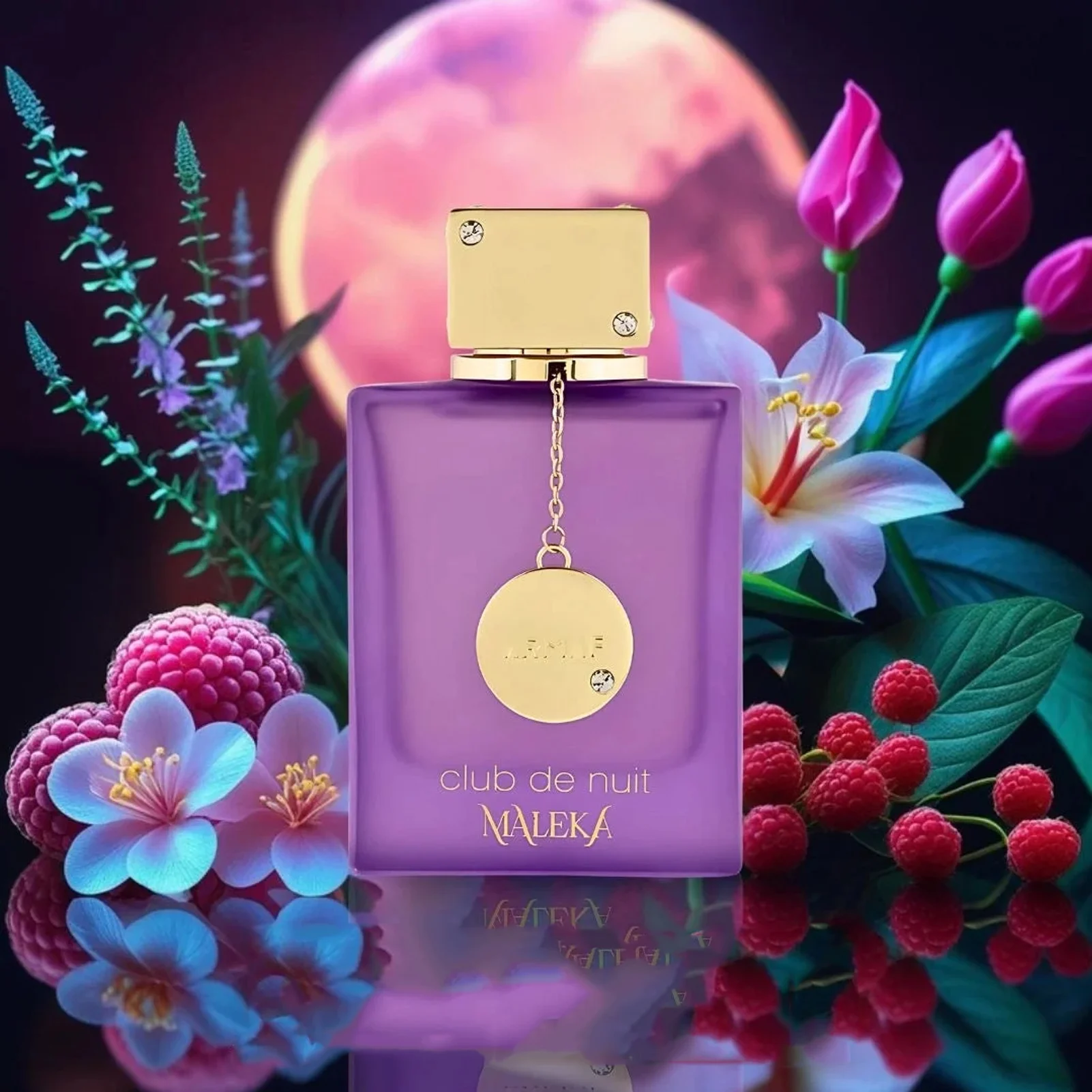 أرماف كلوب دي نوي مالكا للنساء بخاخ عطر أو دي، 3.4 أونصة