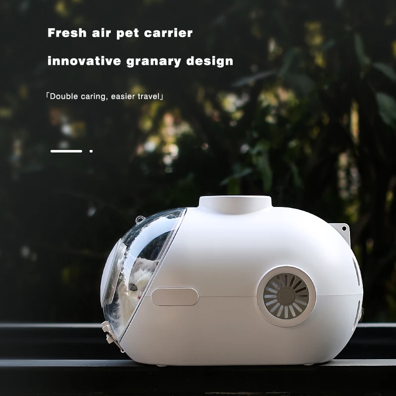 Рисунок 5 - Новое поступление