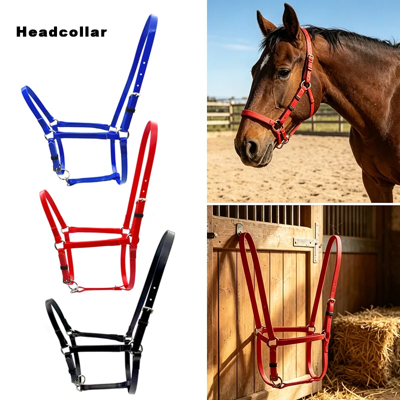 redeas-de-cavalo-ajustaveis-multicoloridas-leves-e-duraveis-equipamento-equestre-para-treinamento-e-uso-diario