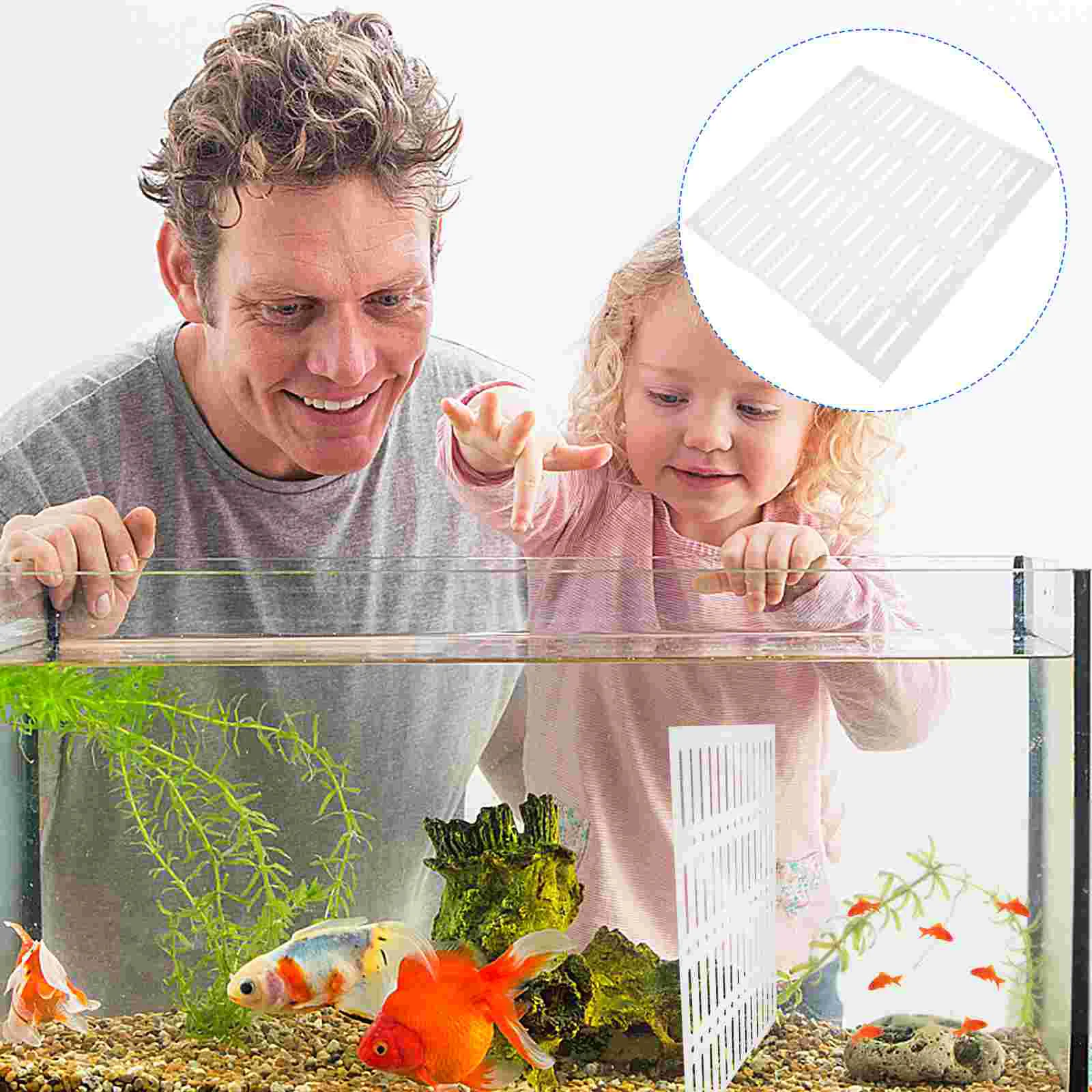 Hose Diffuser Fish Tank Isolation Board Aquarium Plate Divider Tray Acrylic Filtration Grid Water Case