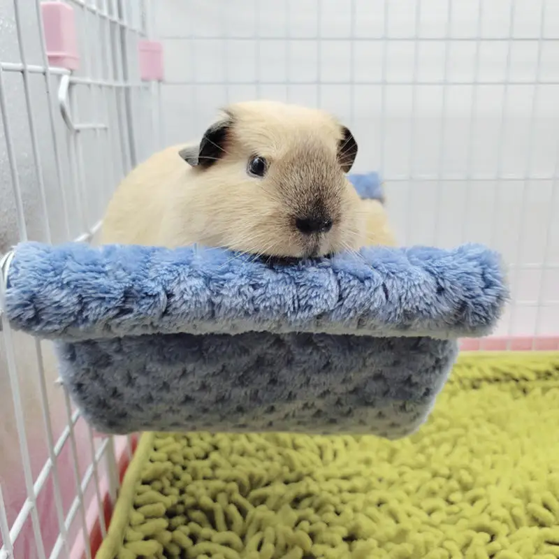 Thumbnail 3 - #10 Best Hamster Houses to Buy In 2026