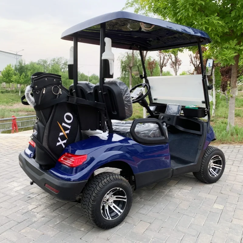 CE DOT Electric Golf Cart Sightseeing Hunting Club Cart 4000W/5000W/7000W 12 Inch Tires Golf Bag Rack And Basket Sand Bucket X2