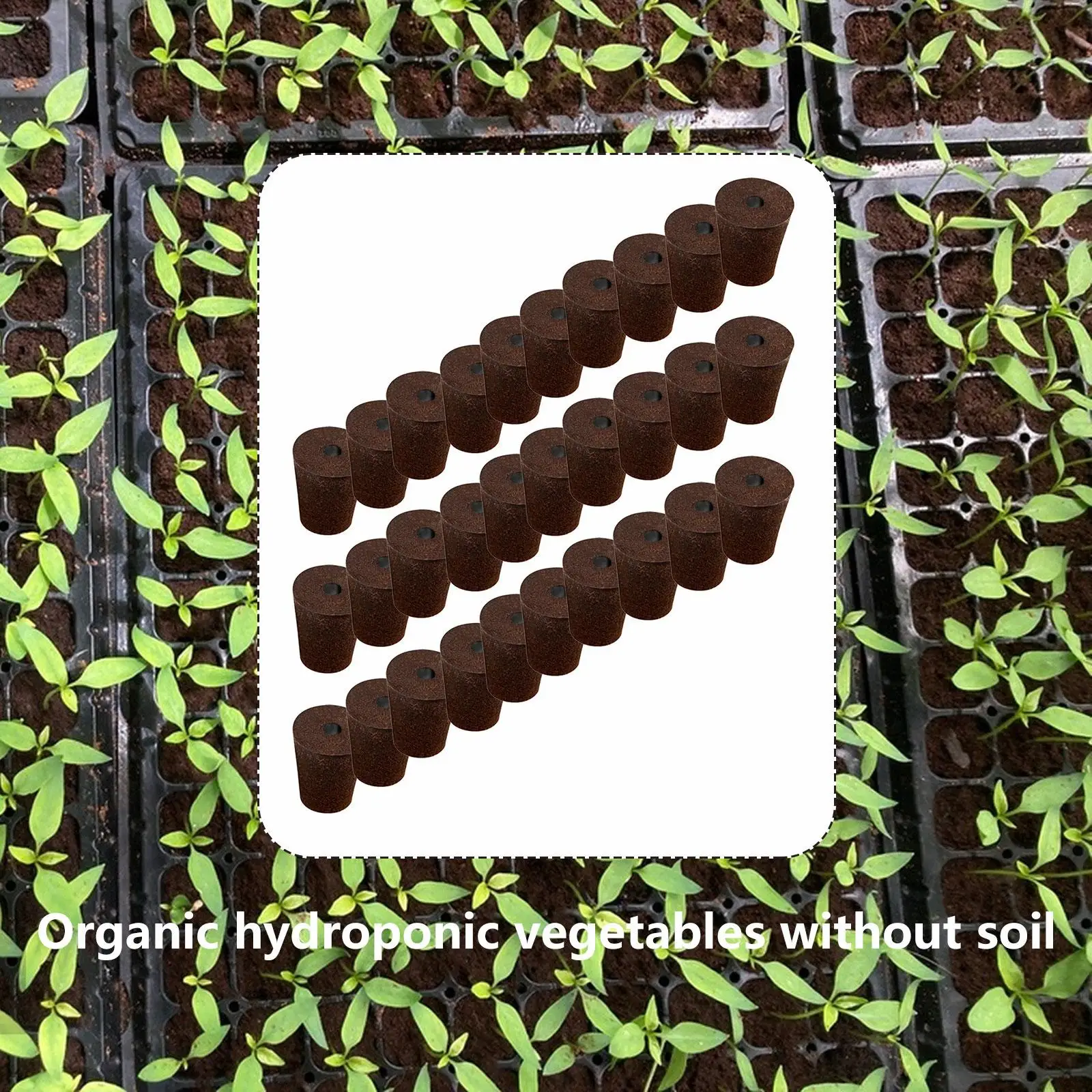 استبدال إسفنجة نمو الجذر، كبسولات زراعة عامة لأنظمة الزراعة المائية، مجموعات إنبات البذور