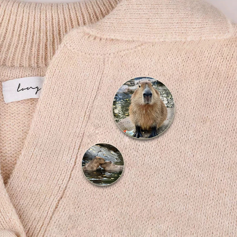 Cute Capybara Badge Funny Animals Brooches on Backpack Clothes Handmade Round Creative Enamel Pins for Jewelry Gift Accessory