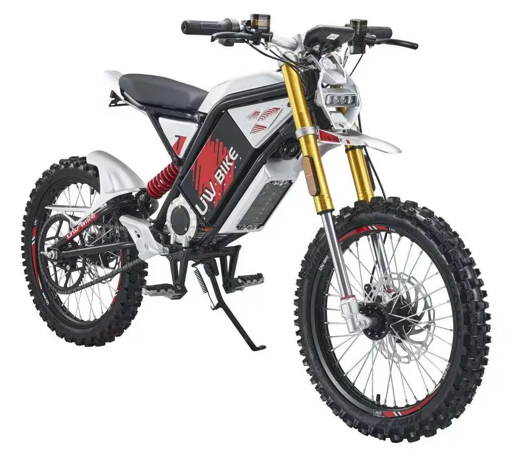 

SXLL Ron Cross Ebike All-terrain Off-Road Electric Bike Cruiser Electric Sport Motorcycle Chopper Bicycle High Speed 3000 Watts