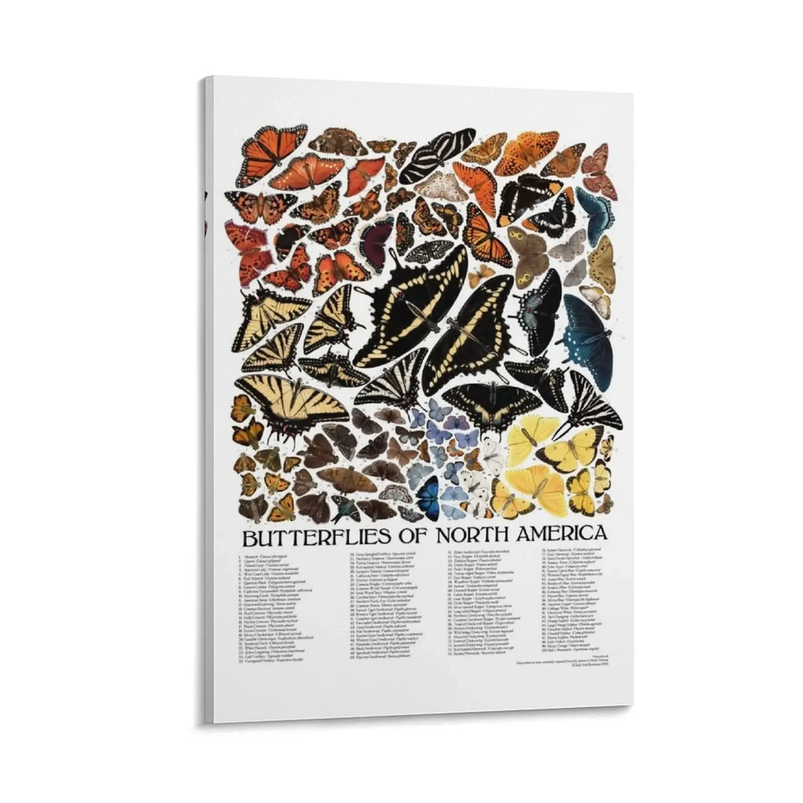 

Butterflies of North America Canvas Painting canvas wall art large paintings modern living room decoration home decor