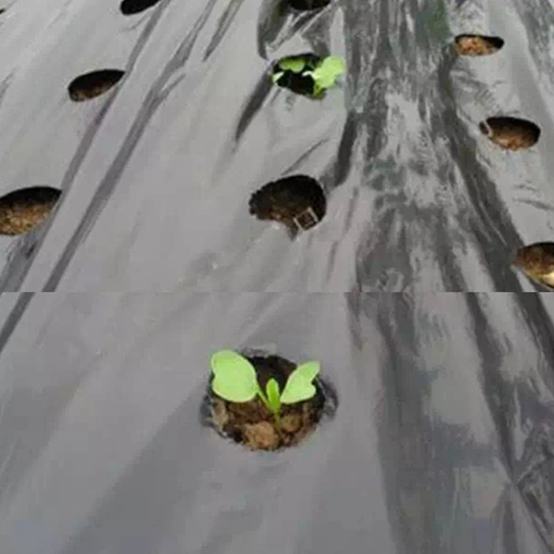 25m 5Holes 0.02mm Black Garden Film Agricultural Plants Grow Film Protection Cover Greenhouse Perforated PE Mulch Film