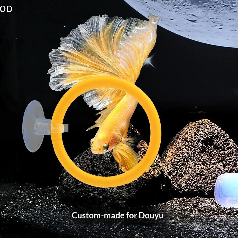 Colorful Betta Fish Training Rings Set, Interactive Suction Cup Training Rings For Betta Fish Tail Flaring And Gill