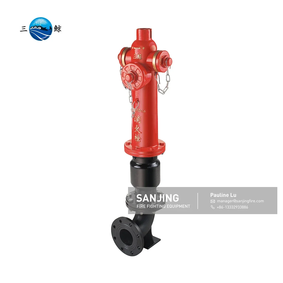 Fire Hydrant/Fire Pillar / Breeching Inlet Valve With Pamper Connection