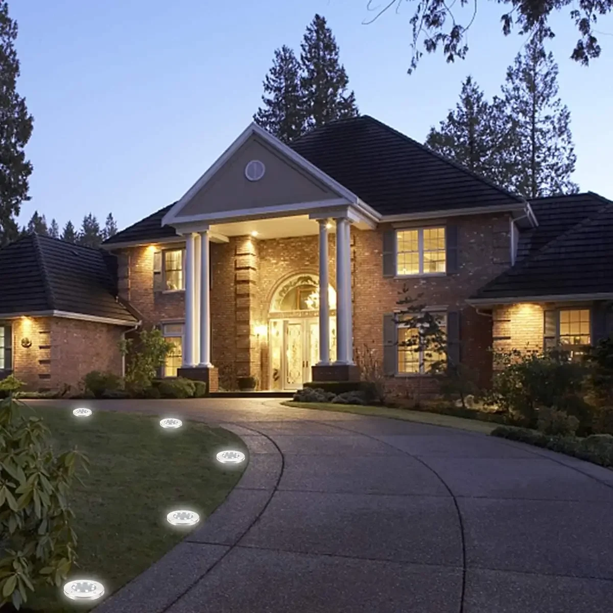 Night Time Garden Lighting Ambience