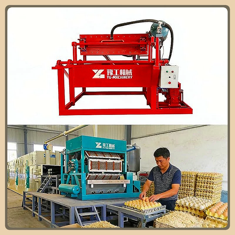 High Efficiency Rotary Egg Tray Making Line Multi Type Paper Tray Production Machine Integrated Pulp Molding Machine Customized