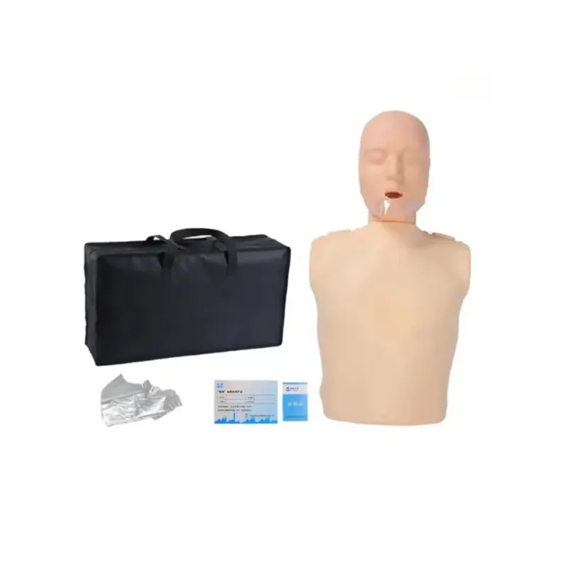 Cardiopulmonary resuscitation simulation human half body CPR first aid artificial respiration training model half body