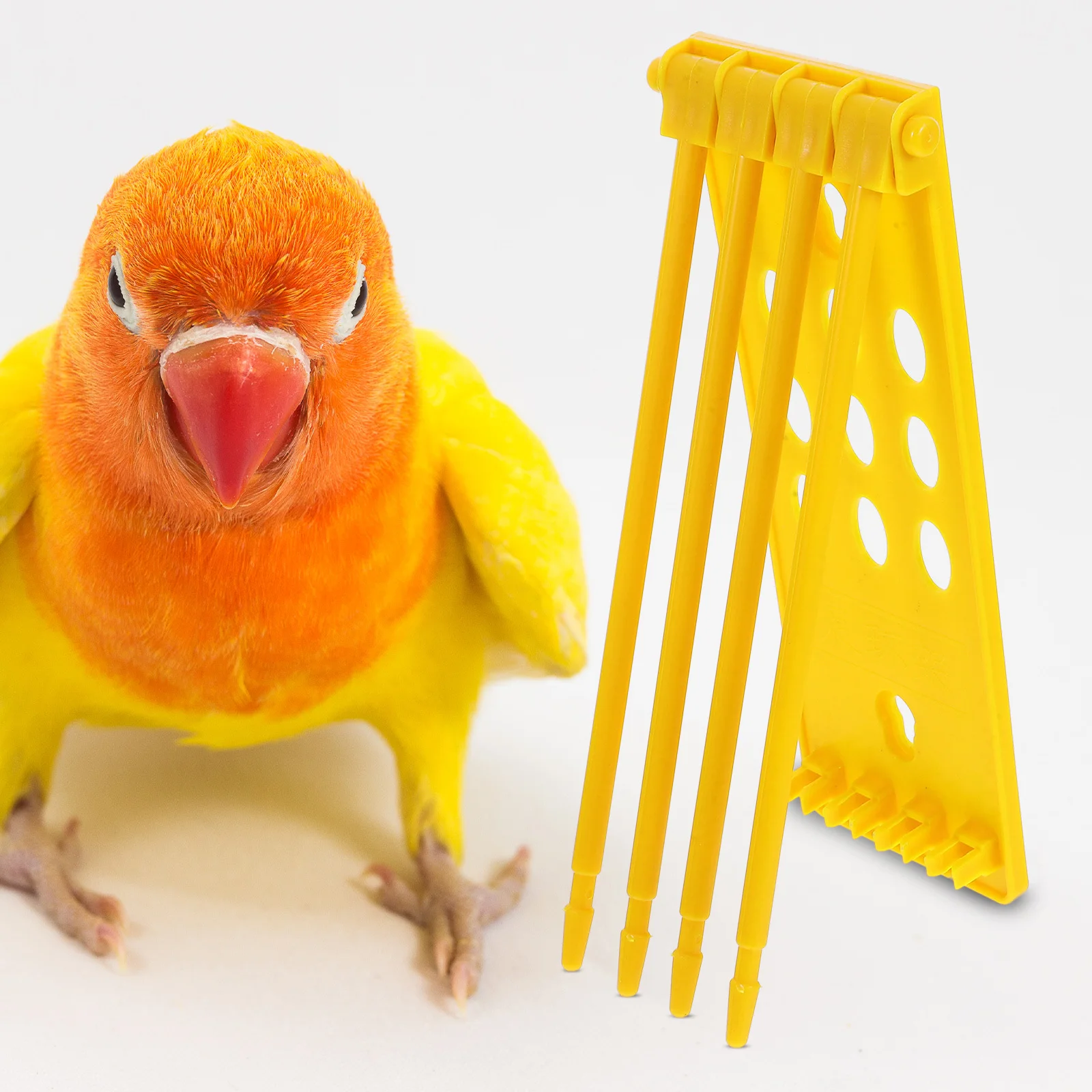 

3pcs Pigeon Ring Frame Plastic Hanging Foot Ring Storage Rack For Racing Pigeon Leg Bands Organizer Indoor Outdoor Use Durable