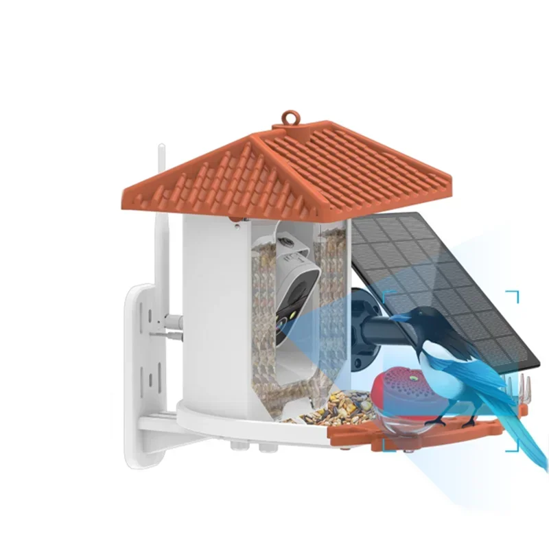 Solar-Powered Wifi Home Security IP Camera Recorder Outdoor Bird Feeder AI-Driven Bird Species Identification