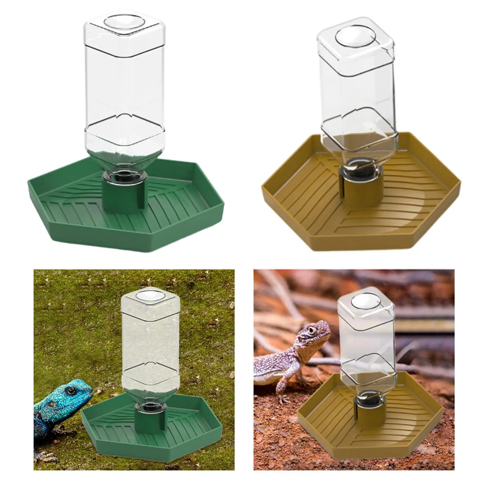 Reptile Water Dish Waterer Feeding Accessories Pet Gecko Automatic Hydrator