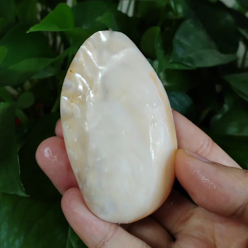 Polished Mother of Pearl Shells Natural White Jade Shell Beach Wedding Decoration for Home Aquarium DIY Jewelry Making Material