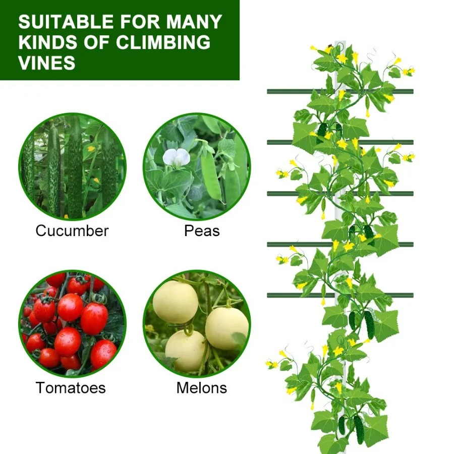1 قطعة 1.64FT * 5FT الأبيض أنبوب دائري تسلق تعريشة في الهواء الطلق البستنة حامل زهرة والخضروات تسلق تعريشة حديقة وشرفة #4