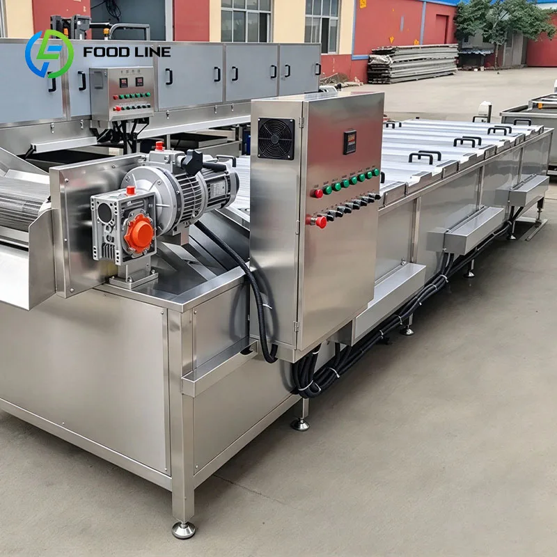 Food Pasteurizer Machine Conveyor Sterilizer for Pouches of Fruit Puree Smoothies and Juice Concentrates Customized