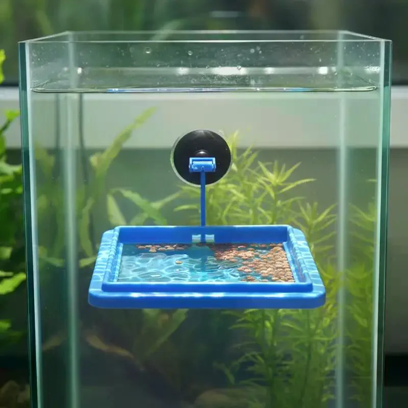 Fish pinching is Over with, Blue 1/5Pcs Floating Feeding Ring, Fish Tank Food Tray with Suction Cup.