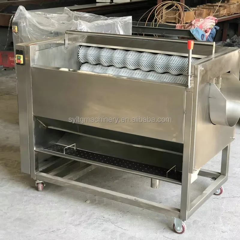 فرشاة الأسطوانة الفجل آلة تقشير البطاطس غسل آلة تقشير البطاطس الكهربائية الزنجبيل آلة غسل البطاطس وآلة تقشير #5