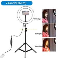 E06D 7.6in LED Selfie Ring Lamp with Tripod Stand and Cellphone Holder for Mobile Phone Live Streaming Fill Light Vlog Video
