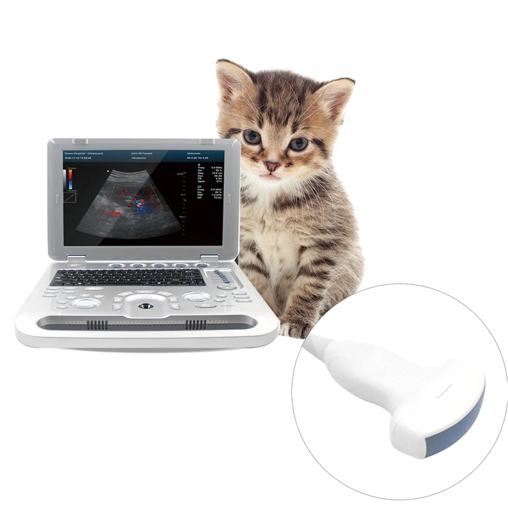 CONTEC Medical 3d Portable Wireless Veterinary Ultrasound Scanner Ultrasound