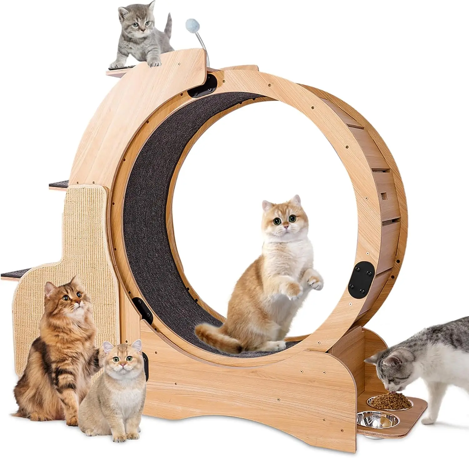 

5-in-1 Indoor Exercise Wheel for Cats, Oversized Roller Treadmill, Wooden Climbing Frame, The Ultimate Treadmill for Energetic