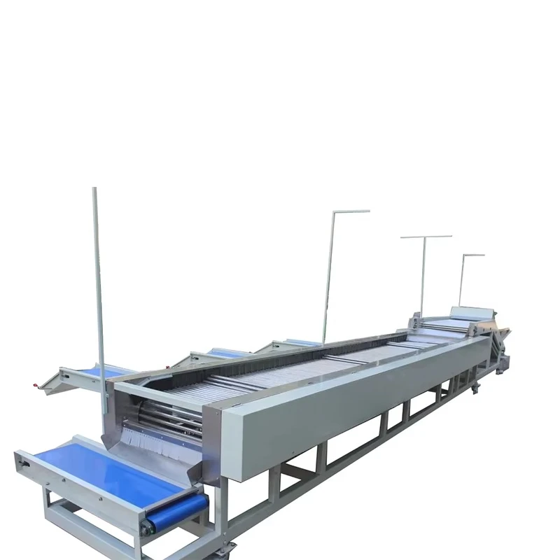 آلة تصنيف الطماطم الكرزية الآلية الدقيقة المتقدمة نباتات معالجة الطعام 304 SS #5