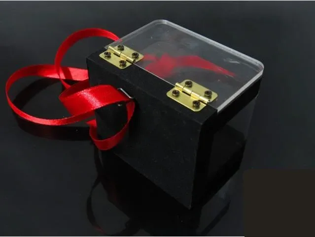 The Crystal Switch Box Magic Tricks Close Up Magic Mentalism Stage Magic Props Comedy Illusions Prophecy Box Gimmicks