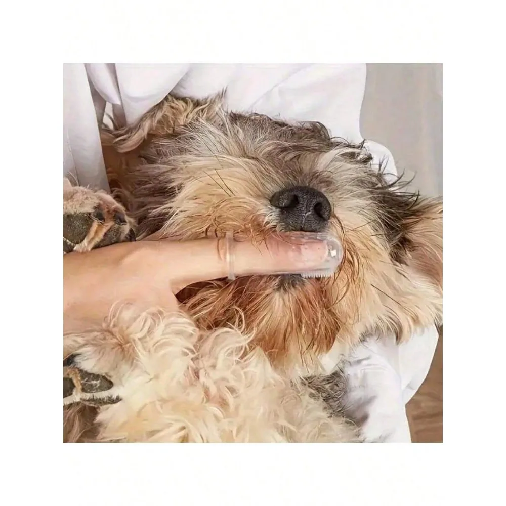 개와 고양이용 애완동물 손가락 칫솔 1개 - 호흡 관리 및 잇몸 건강을 위한 부드러운 실리콘 브러시, 휴대용, 상자 포함 안내