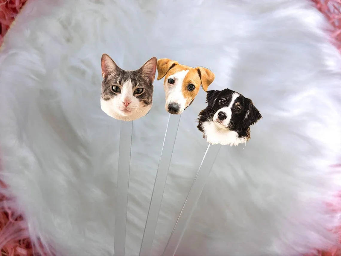 صورة مخصصة شرب تحريك هدية الزفاف الجدول الديكور شخصية كوكتيل النمامون الاكريليك حفلة شرب تحريك حفلة تذكارية